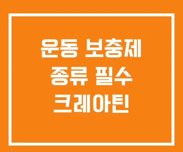 운동 보충제 종류 필수 크레아틴