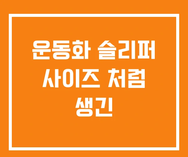 운동화 슬리퍼 사이즈 처럼 생긴