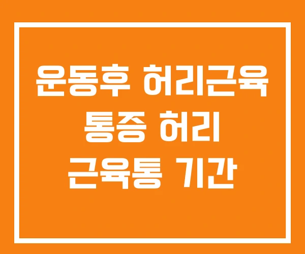 운동후 허리근육 통증 허리 근육통 기간