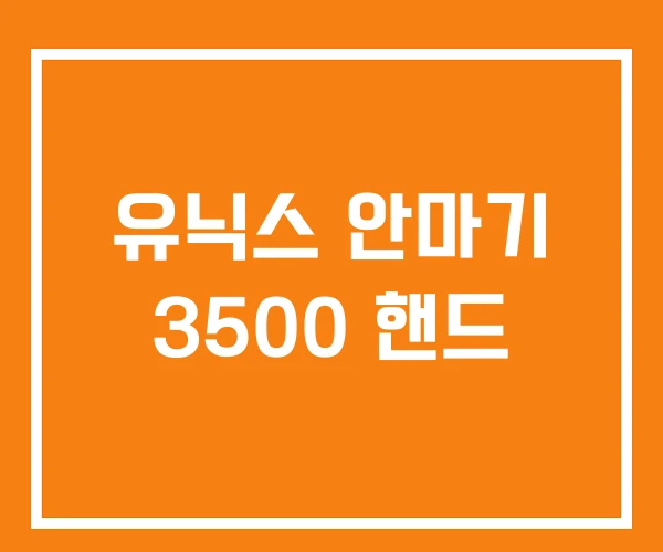 유닉스 안마기 3500 핸드