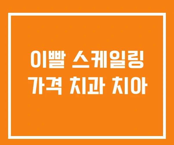 이빨 스케일링 가격 치과 치아