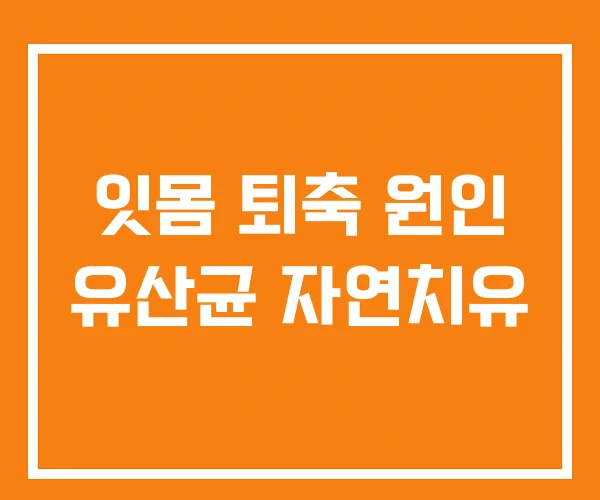 잇몸 퇴축 원인 유산균 자연치유
