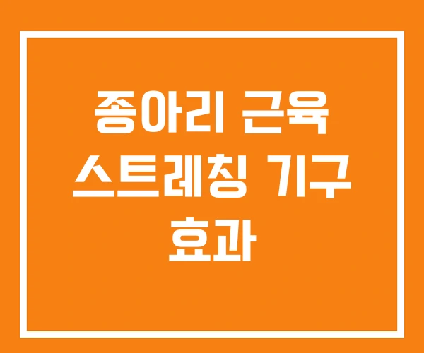 종아리 근육 스트레칭 기구 효과 종아리 근육 스트레칭 기구 효과