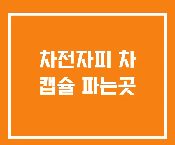차전자피 차 캡슐 파는곳 차전자피 차 캡슐 파는곳