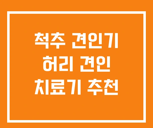 척추 견인기 허리 견인 치료기 추천 척추 견인기 허리 견인 치료기 추천