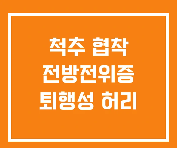 척추 협착 전방전위증 퇴행성 허리