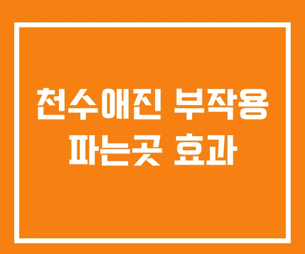 천수애진 부작용 파는곳 효과