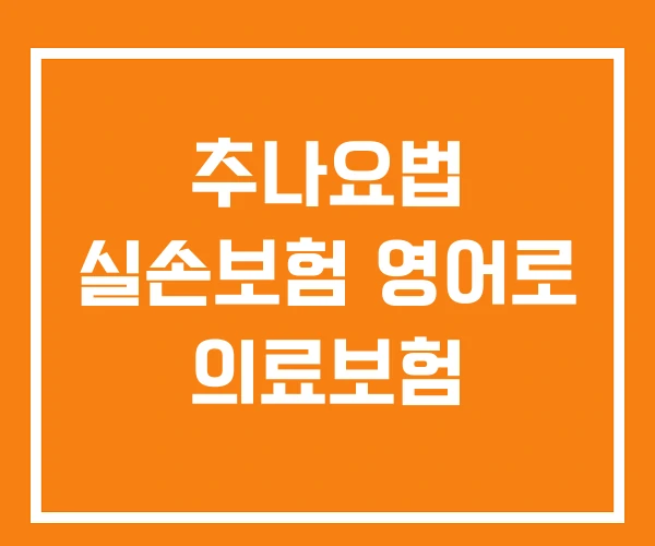 추나요법 실손보험 영어로 의료보험