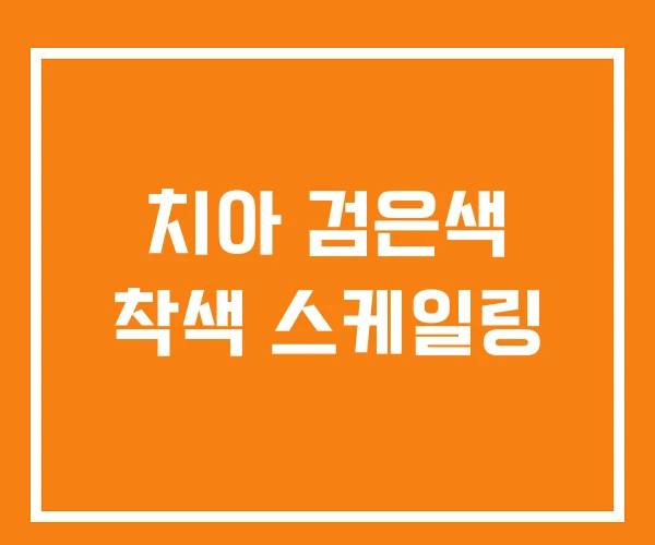 치아 검은색 착색 스케일링