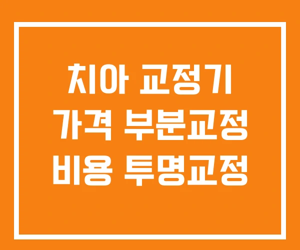 치아 교정기 가격 부분교정 비용 투명교정