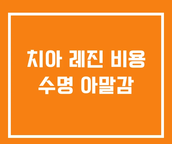 치아 레진 비용 수명 아말감