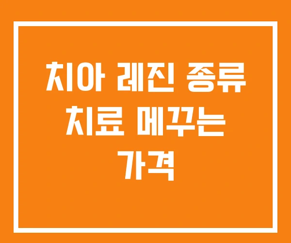 치아 레진 종류 치료 메꾸는 가격 치아 레진 종류 치료 메꾸는 가격