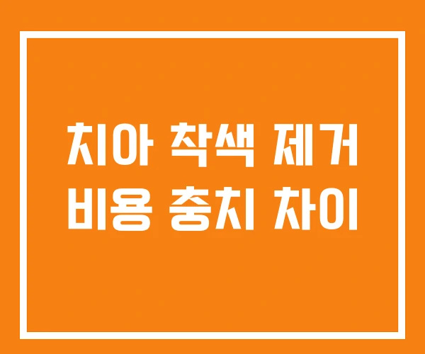 치아 착색 제거 비용 충치 차이