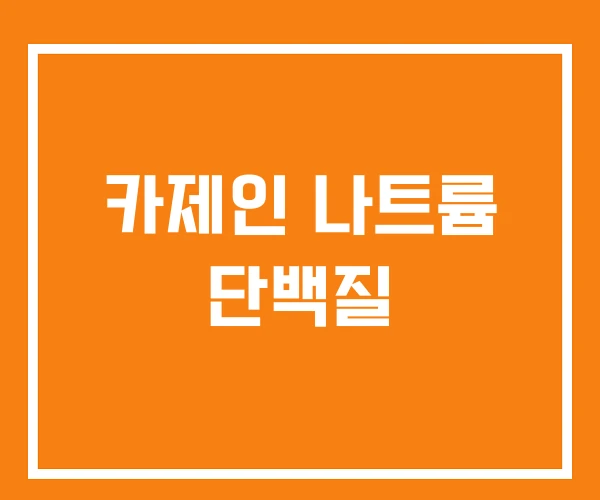 카제인 나트륨 단백질 카제인 나트륨 단백질