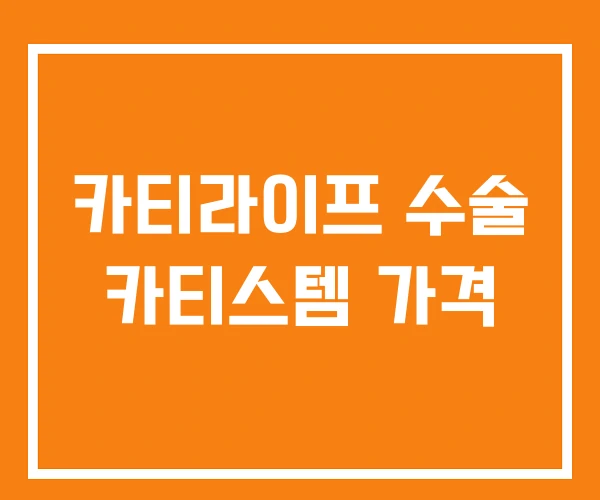 카티라이프 수술 카티스템 가격 카티라이프 수술 카티스템 가격