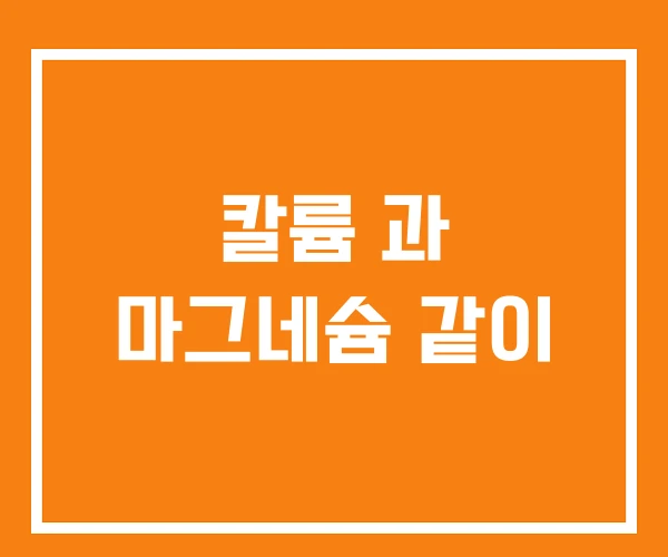 칼륨 과 마그네슘 같이