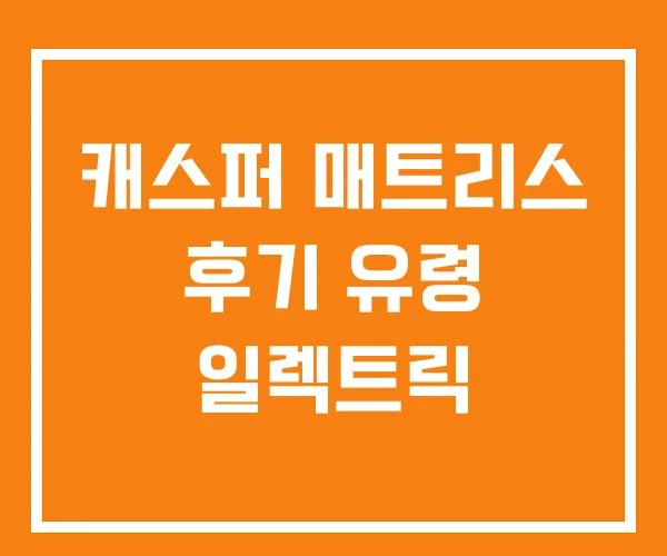 캐스퍼 매트리스 후기 유령 일렉트릭