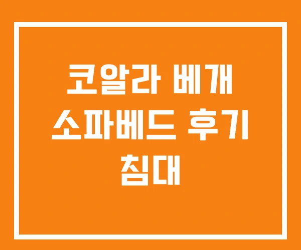 코알라 베개 소파베드 후기 침대