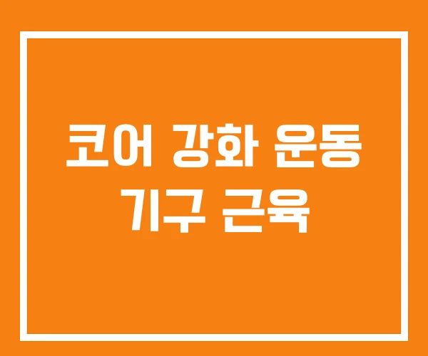 코어 강화 운동 기구 근육