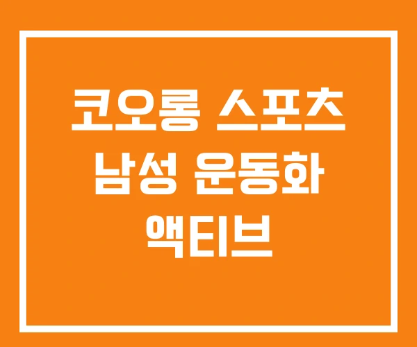 코오롱 스포츠 남성 운동화 액티브
