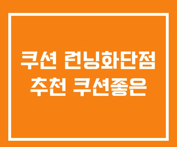 쿠션 런닝화단점 추천 쿠션좋은
