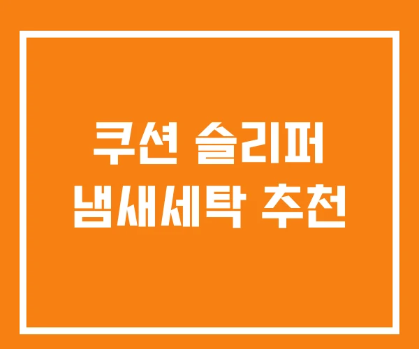 쿠션 슬리퍼 냄새세탁 추천