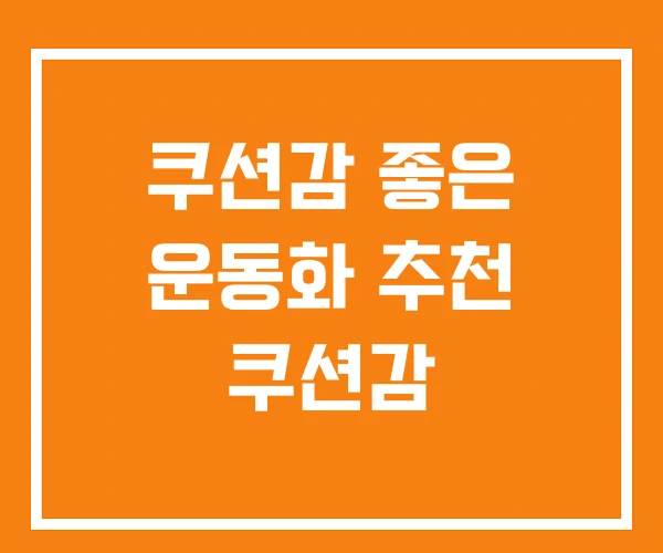 쿠션감 좋은 운동화 추천 쿠션감 쿠션감 좋은 운동화 추천 쿠션감