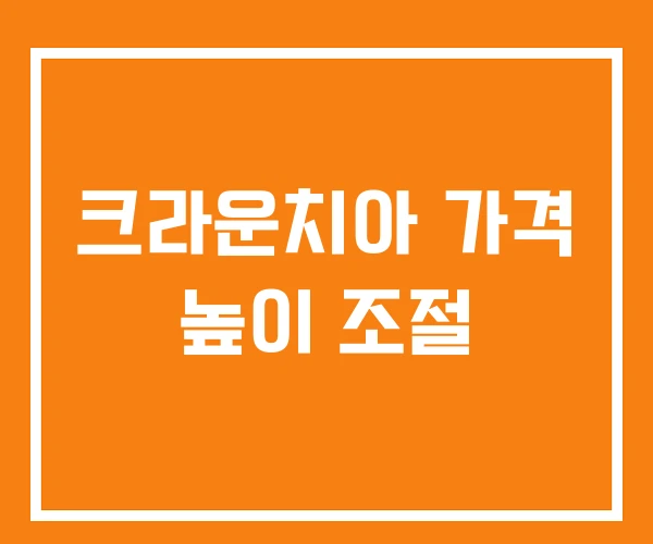 크라운치아 가격 높이 조절