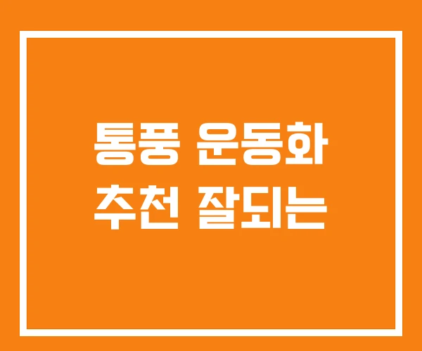 통풍 운동화 추천 잘되는