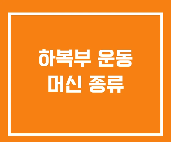 하복부 운동 머신 종류