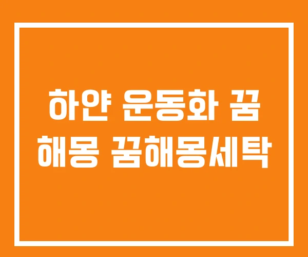 하얀 운동화 꿈 해몽 꿈해몽세탁