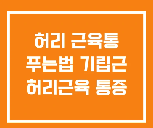 허리 근육통 푸는법 기립근 허리근육 통증