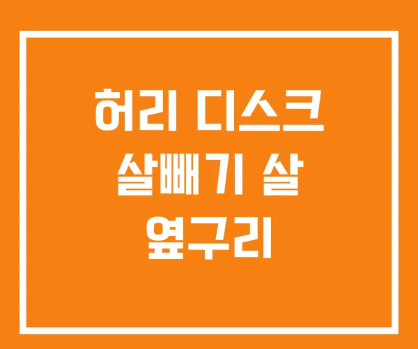 허리 디스크 살빼기 살 옆구리