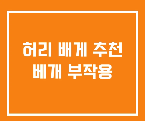 허리 배게 추천 베개 부작용
