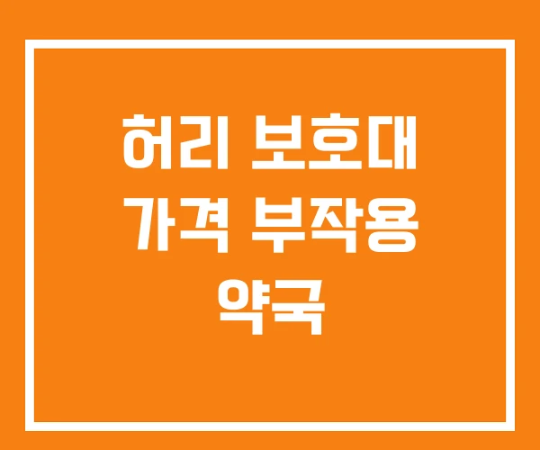 허리 보호대 가격 부작용 약국 허리 보호대 가격 부작용 약국