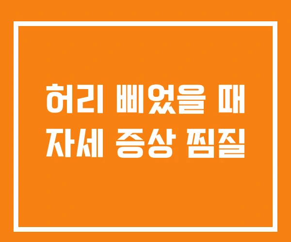허리 삐었을 때 자세 증상 찜질 허리 삐었을 때 자세 증상 찜질