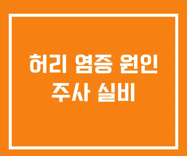 허리 염증 원인 주사 실비 허리 염증 원인 주사 실비