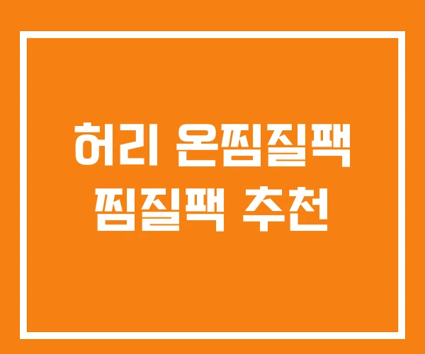 허리 온찜질팩 찜질팩 추천 허리 온찜질팩 찜질팩 추천