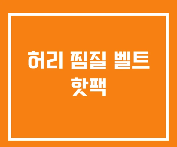 허리 찜질 벨트 핫팩