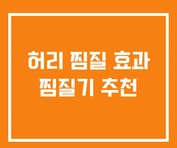 허리 찜질 효과 찜질기 추천 허리 찜질 효과 찜질기 추천
