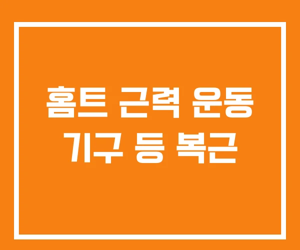 홈트 근력 운동 기구 등 복근 홈트 근력 운동 기구 등 복근