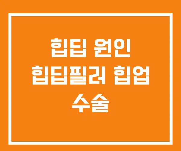 힙딥 원인 힙딥필러 힙업 수술