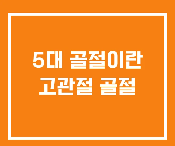 5대 골절이란 고관절 골절