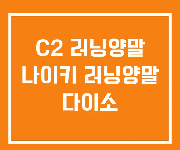 C2 러닝양말 나이키 러닝양말 다이소