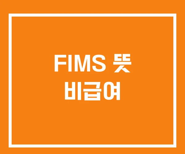 FIMS 뜻 비급여