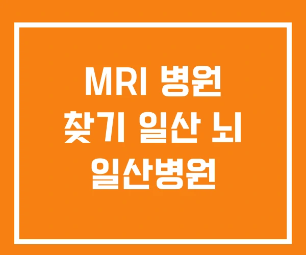 MRI 병원 찾기 일산 뇌 일산병원