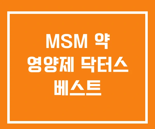 MSM 약 영양제 닥터스 베스트