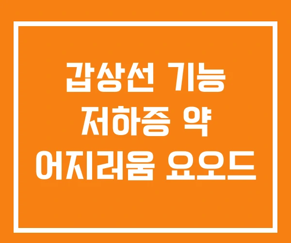 갑상선 기능 저하증 약 어지러움 요오드