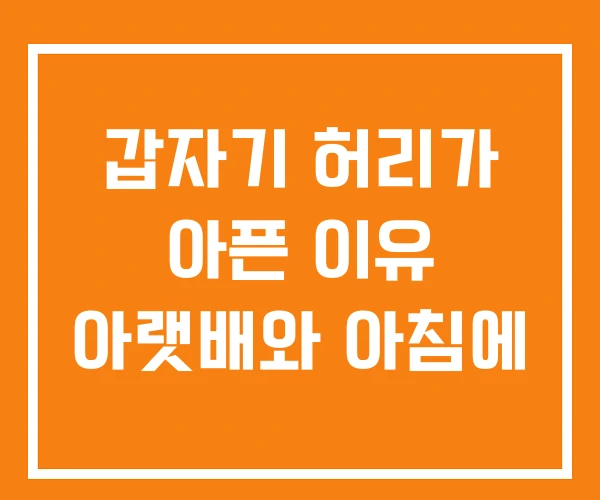 갑자기 허리가 아픈 이유 아랫배와 아침에