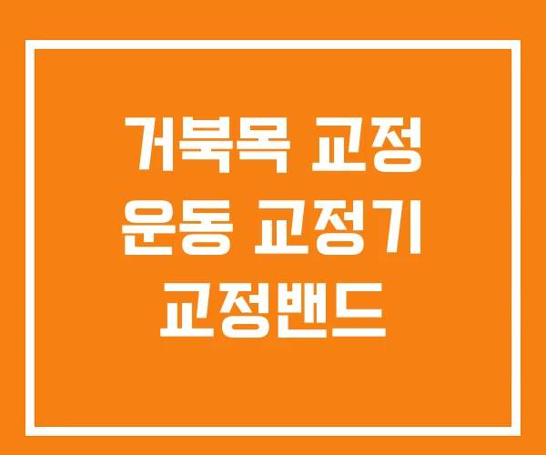 거북목 교정 운동 교정기 교정밴드